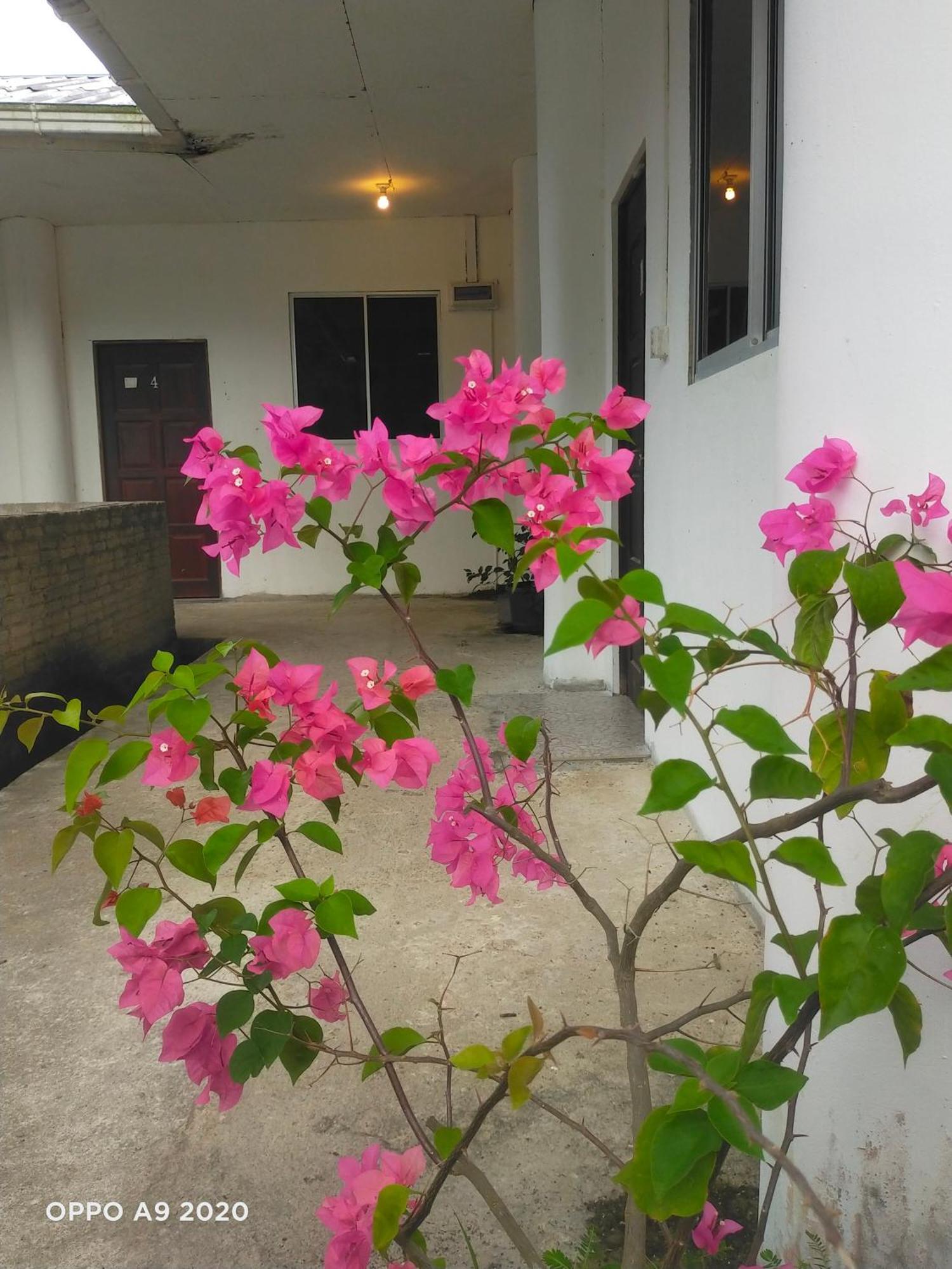 Sukau Tomanggong View Bed & Breakfast Esterno foto