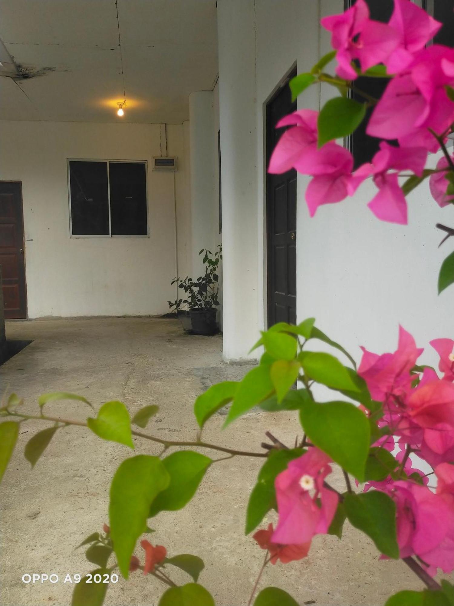 Sukau Tomanggong View Bed & Breakfast Esterno foto