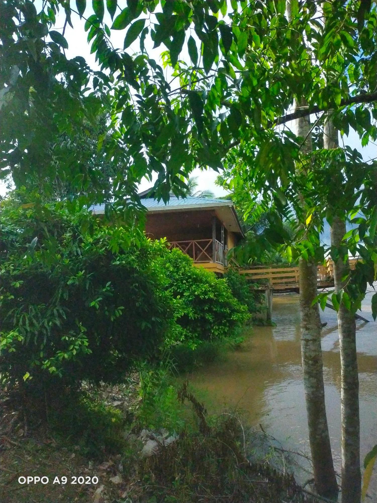 Sukau Tomanggong View Bed & Breakfast Esterno foto